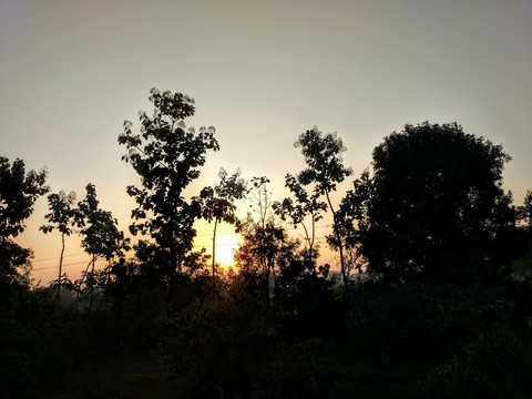 here goes the sun