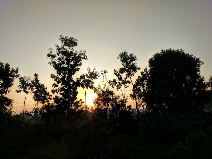 here goes the sun