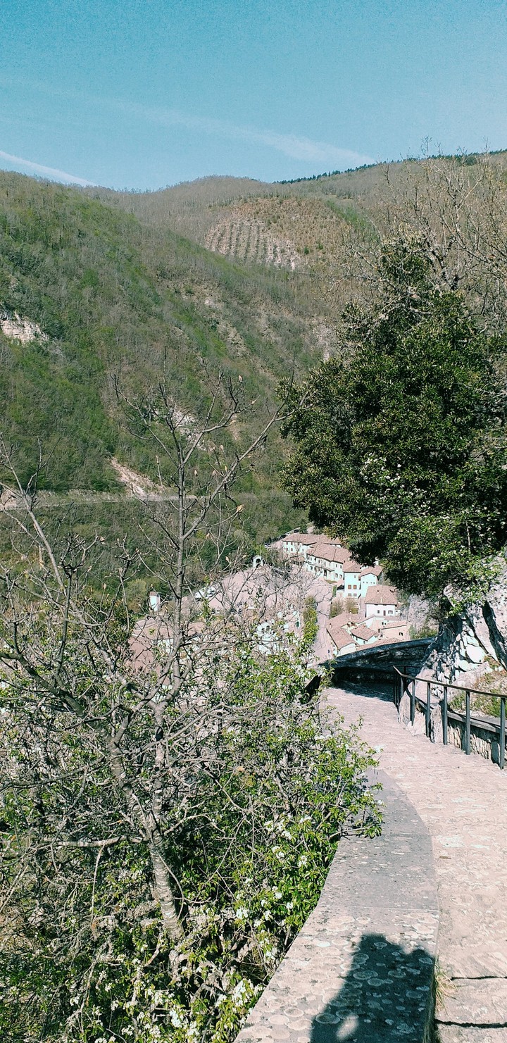 libertà
