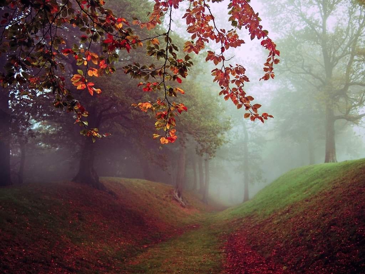 Fall
