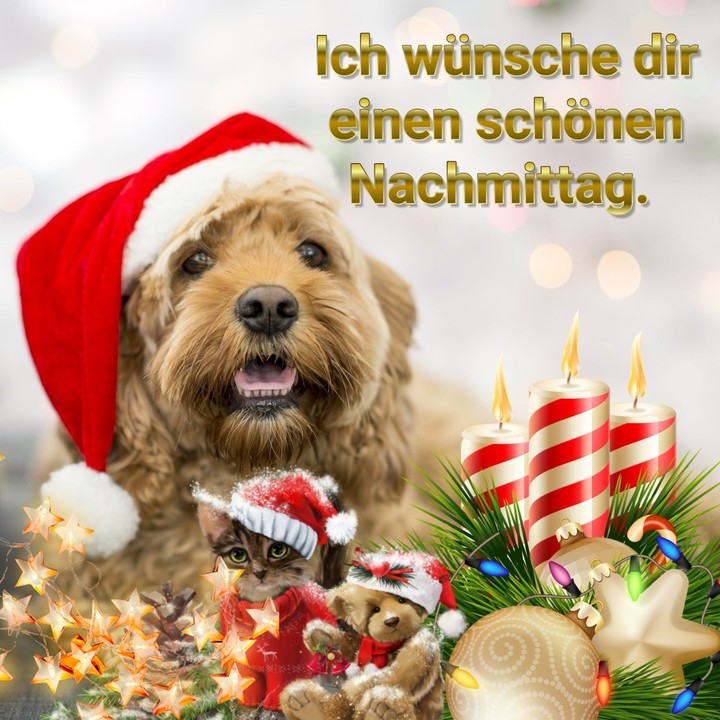 Weihnachtszeit
