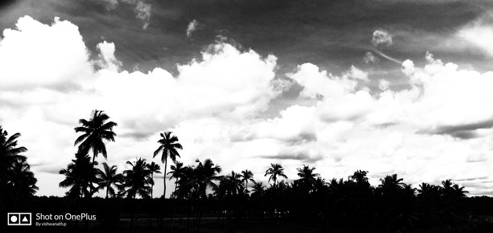 black n white