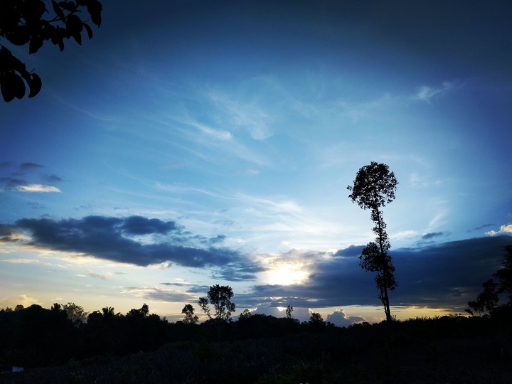sunset