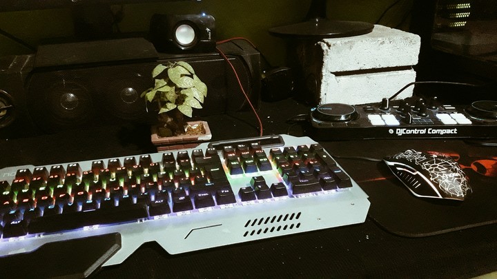 gamer