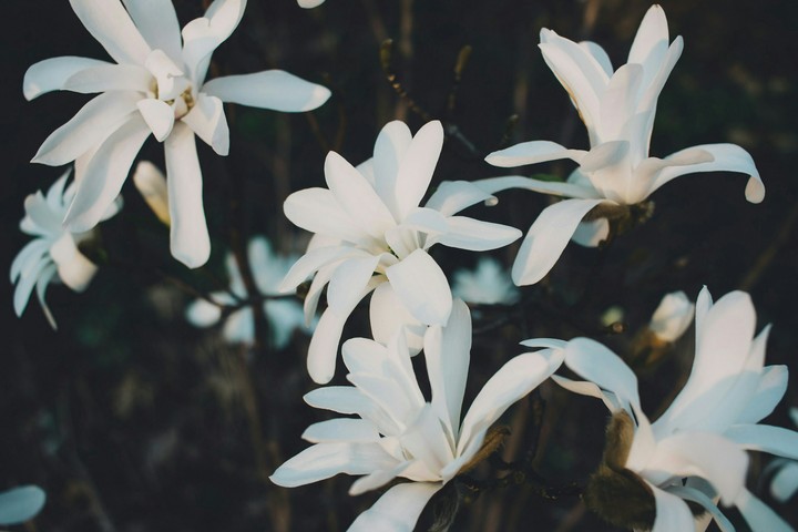 Beauty of spring!!!