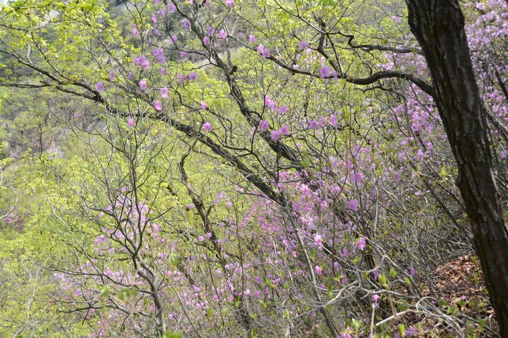 수락산이미지