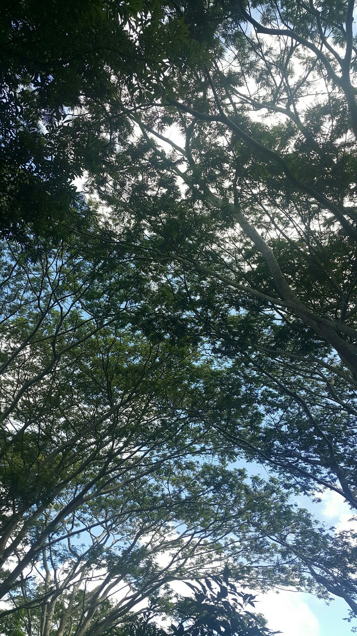 Chamarel Mauritius