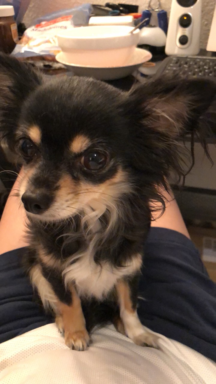 #phebee