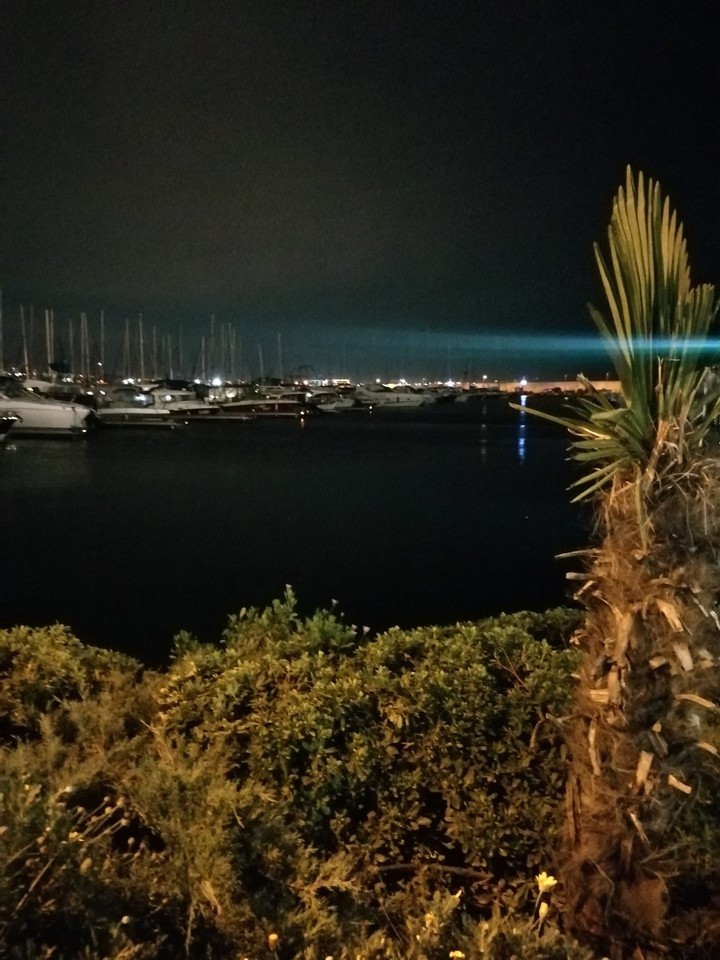 marina