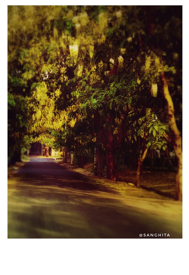 the road to b self lost