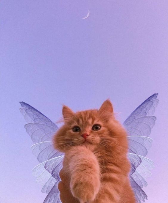 :))