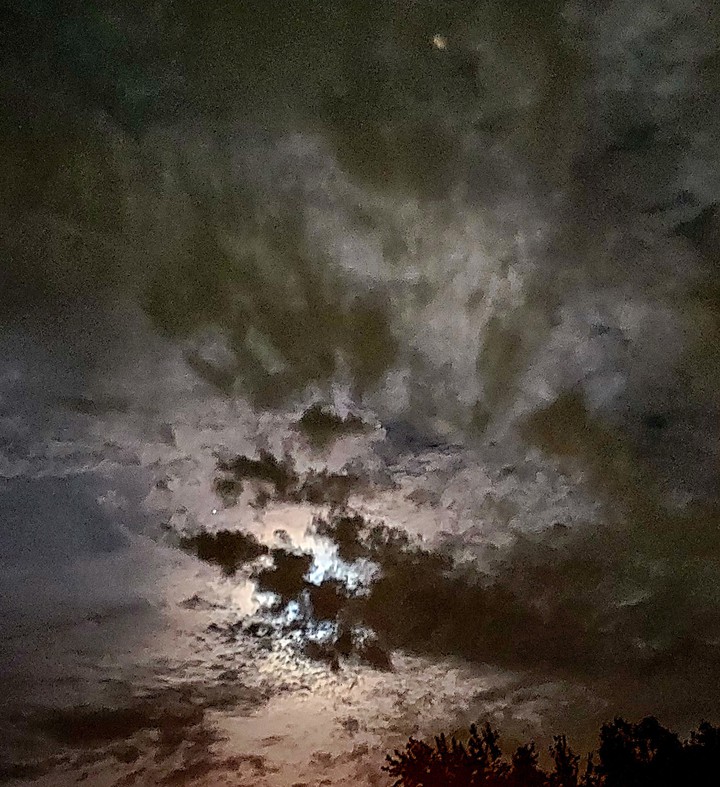 Night in August