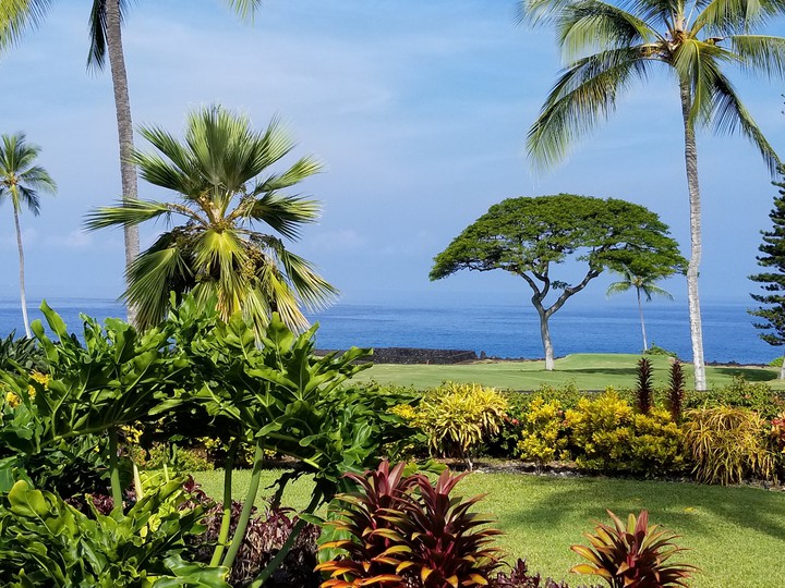 Hawaiian Coast