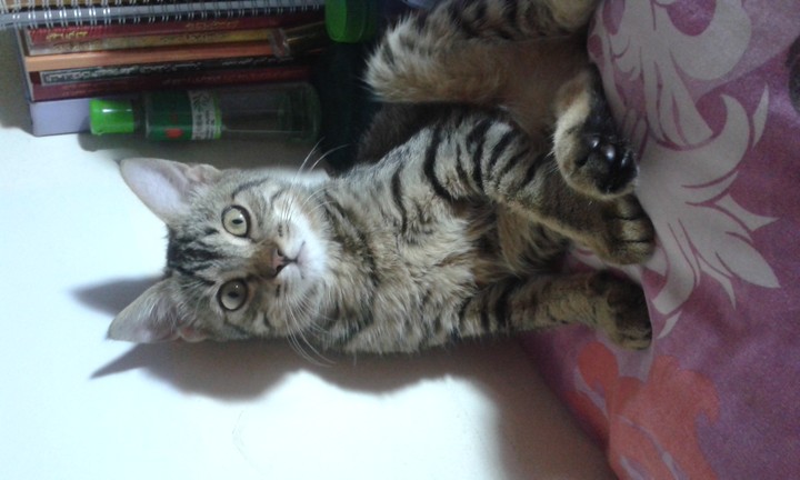 what?