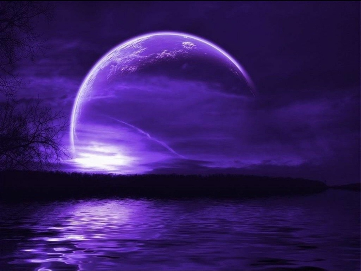 purple moonlight