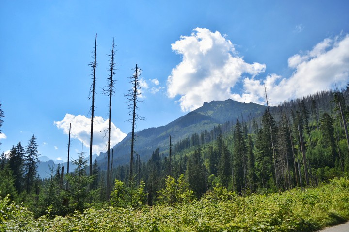 Mountains