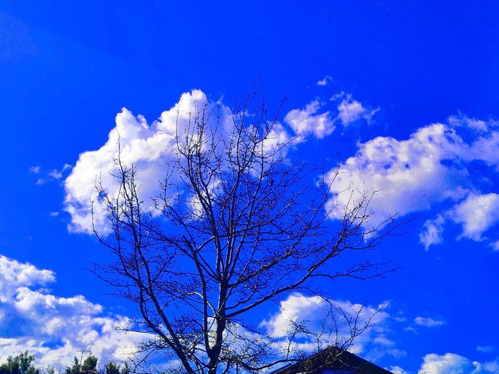 Like the cottage cheese
Spilled on a blue sheet paper