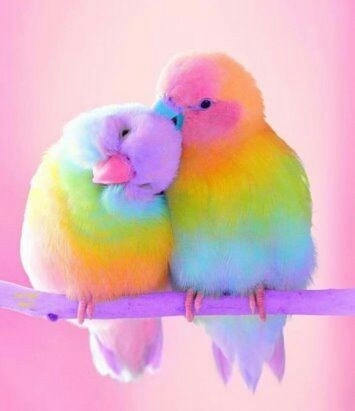 ❤❤❤