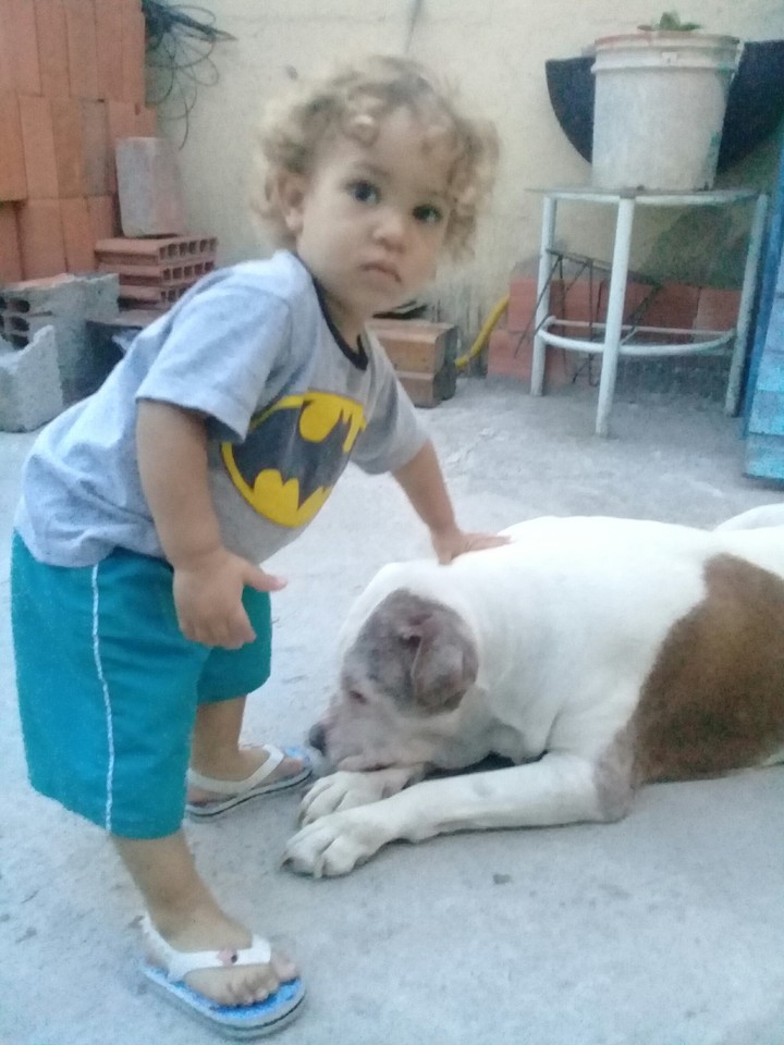 dois amigos