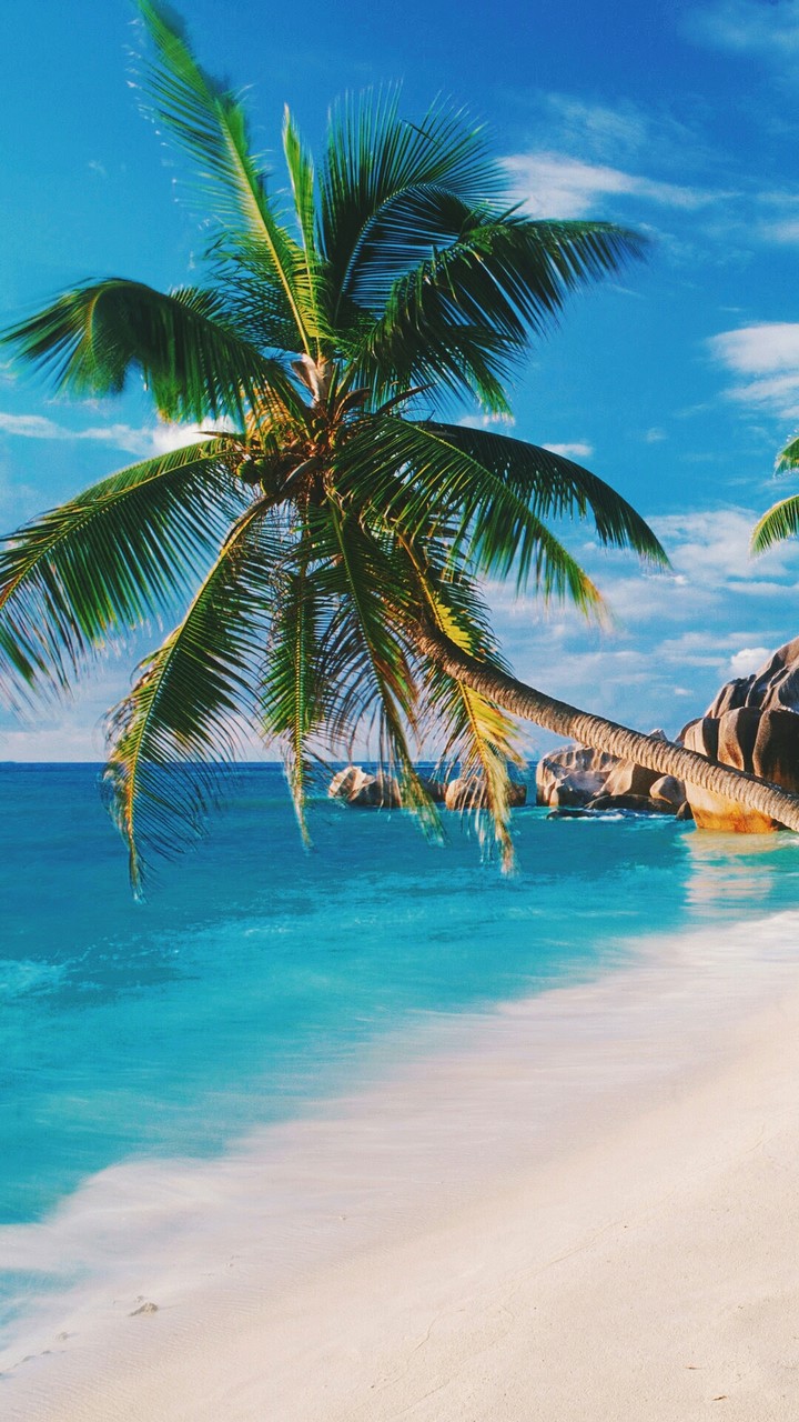 Life's a beach
