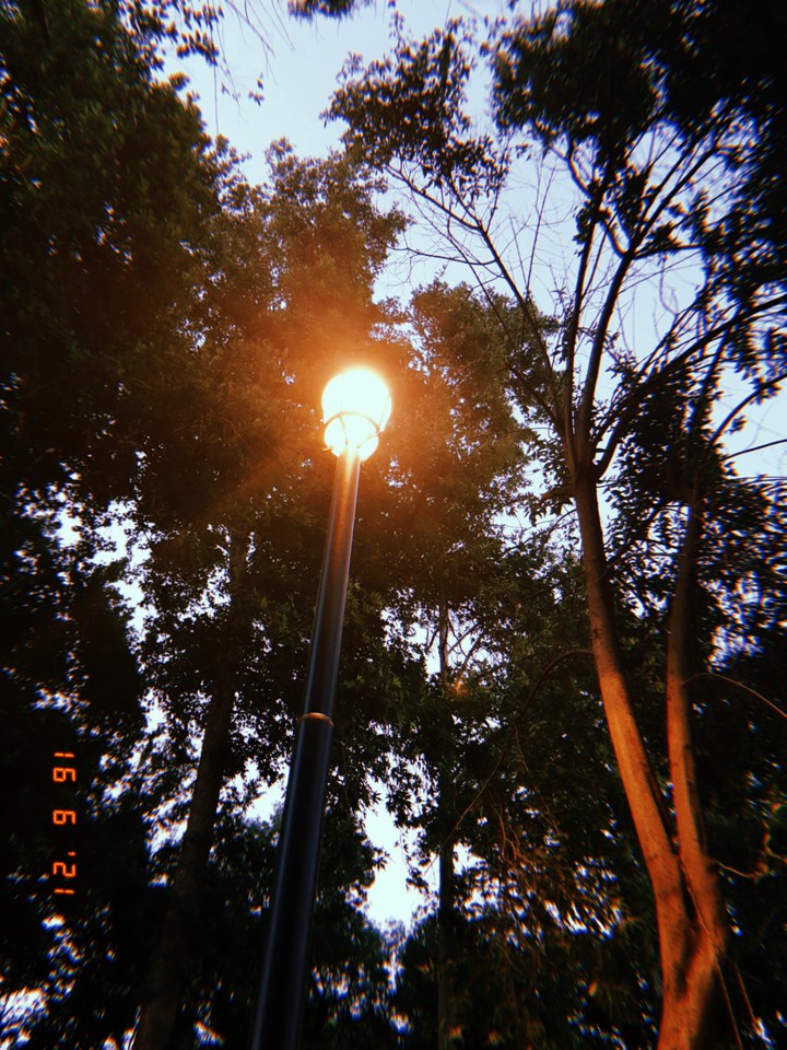 Light
