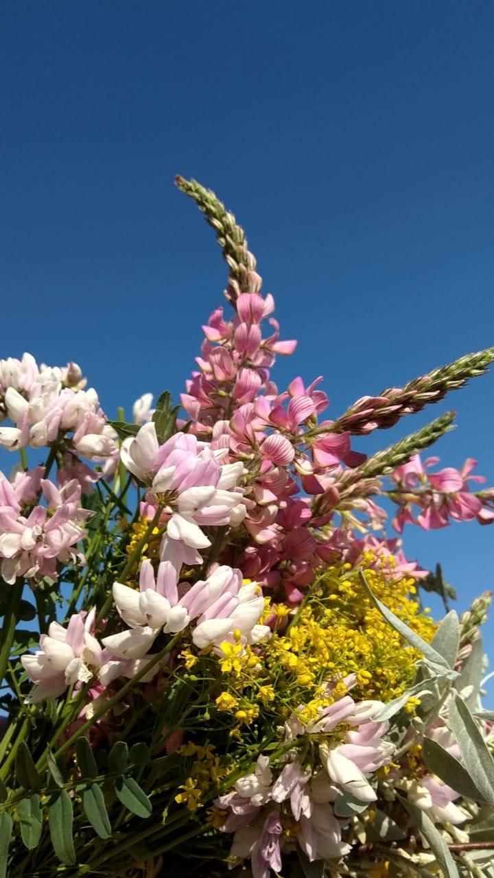 ColoringFlowers