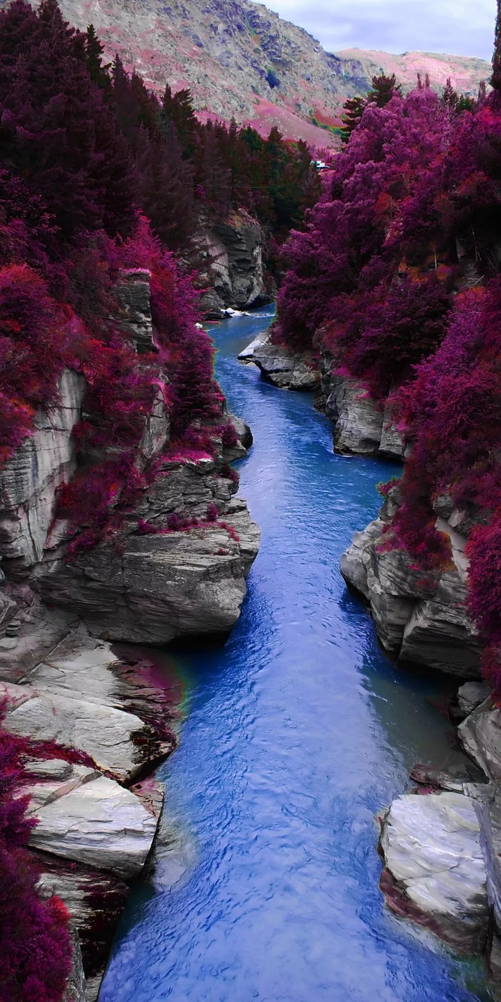 nature