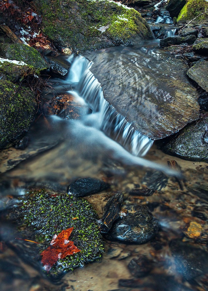 Nature