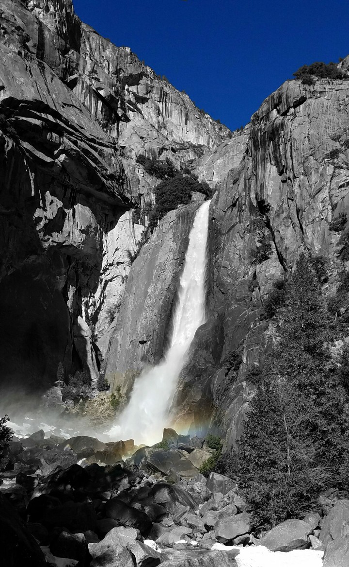 Lower Yosemite Falls