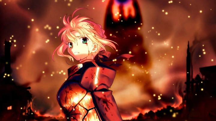 fate zero