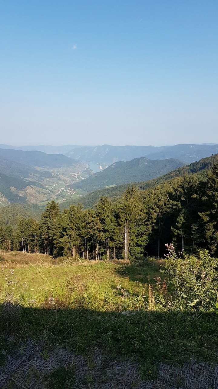 Wachau