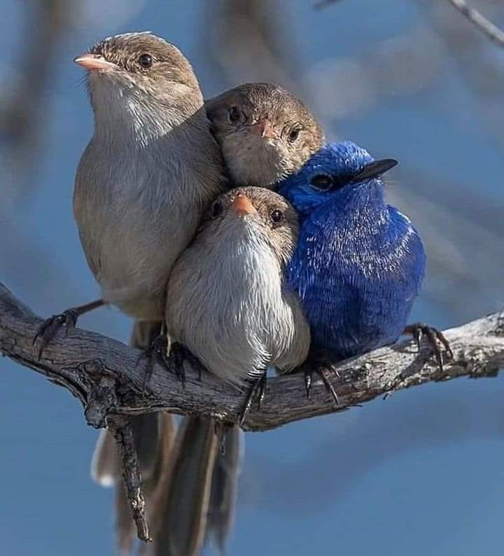 Good Evening