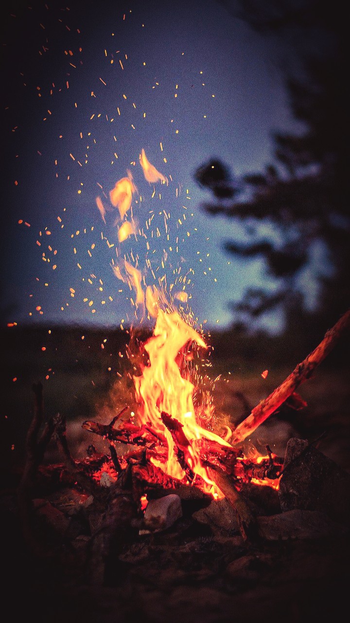Wallpaper