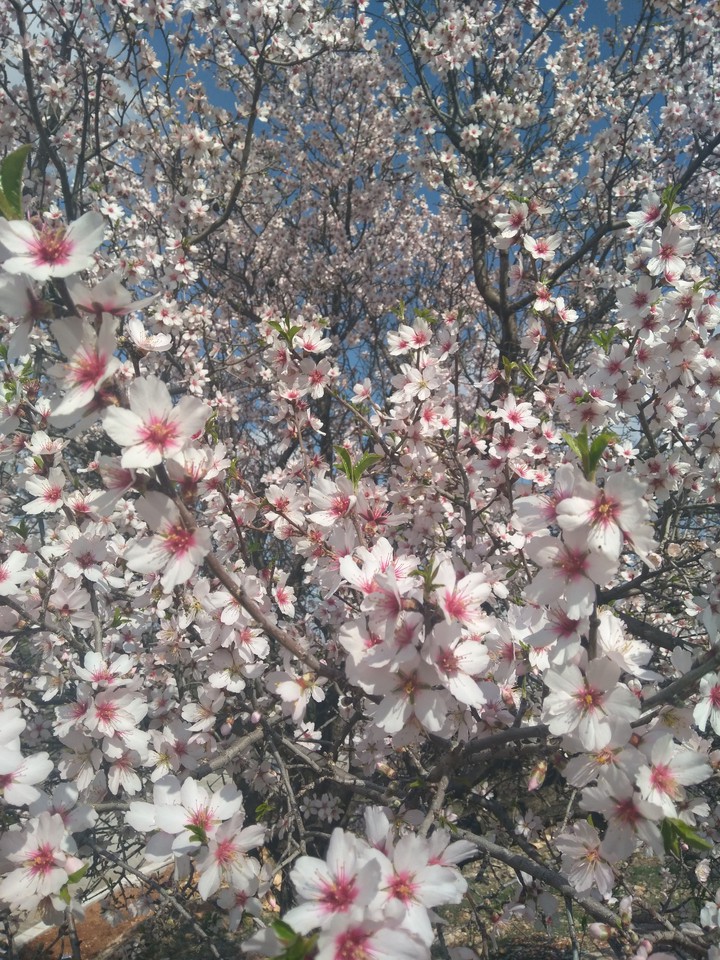 a spring day