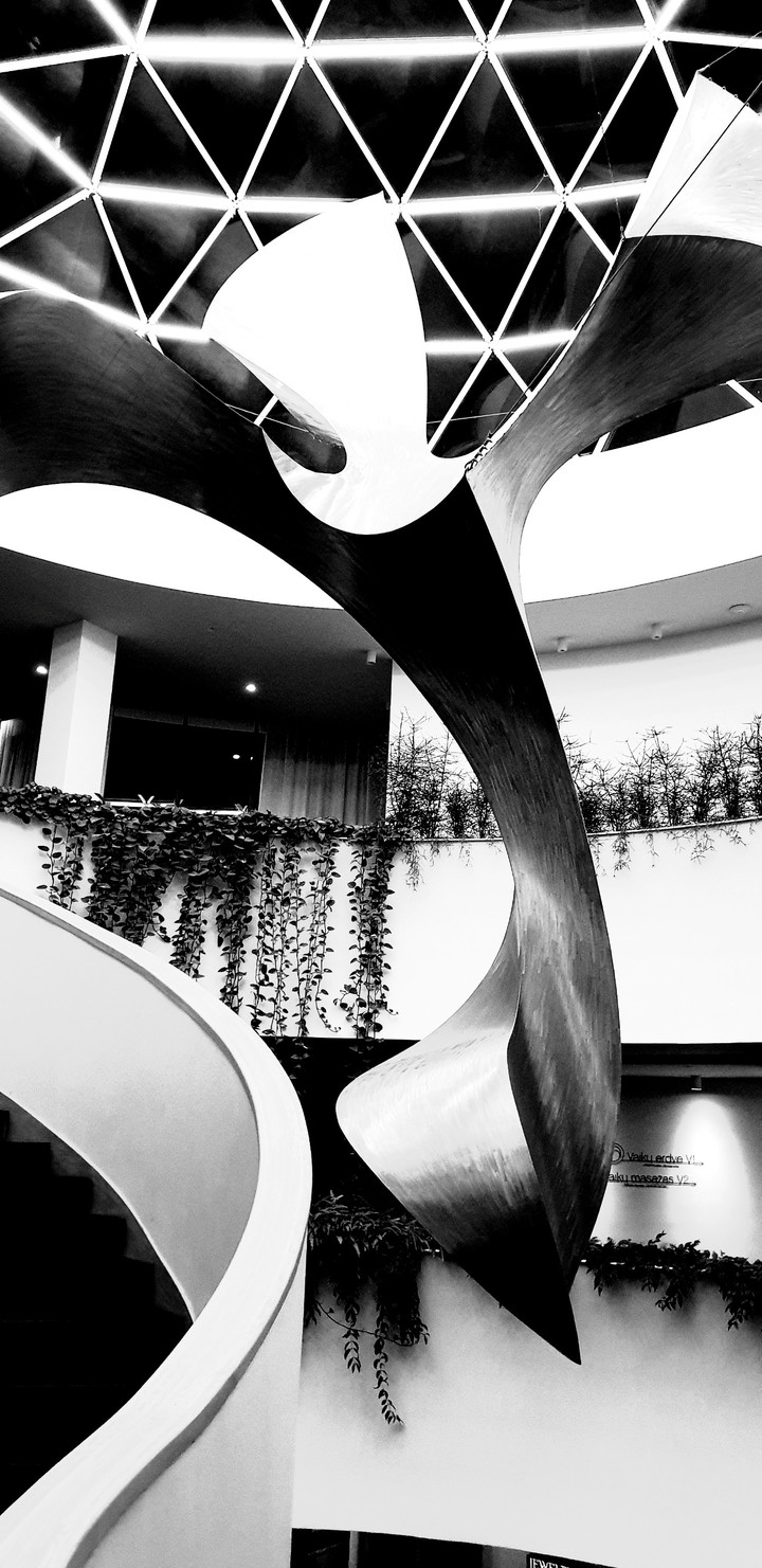 Black and White