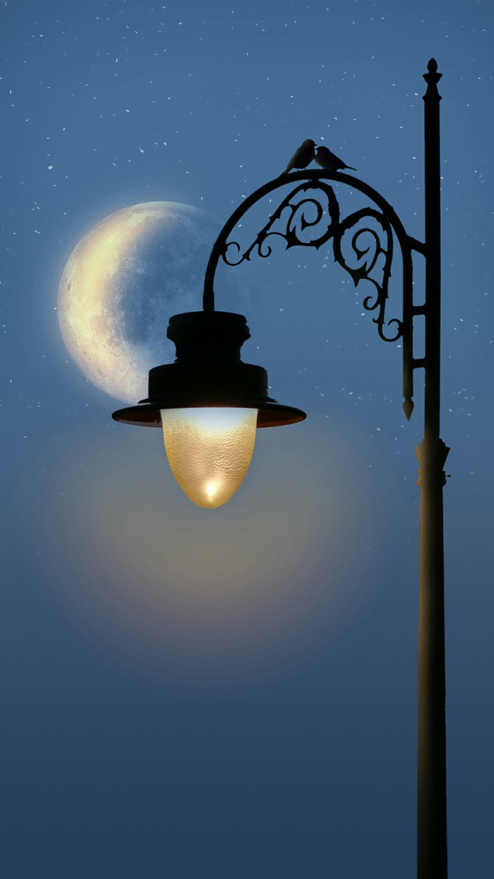 Moonlight