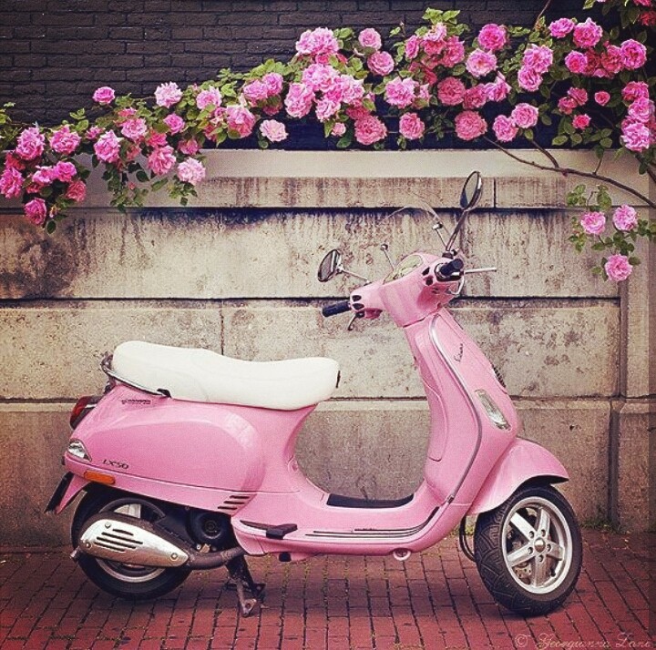 #scooter #bike #flower #pink