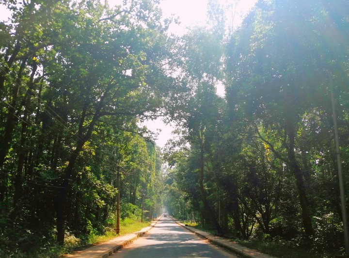 Nature
