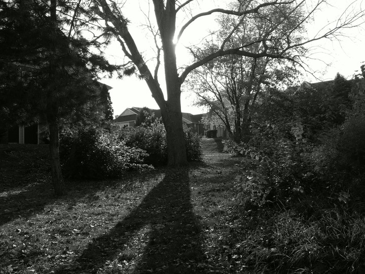 Beauty of the suburbs