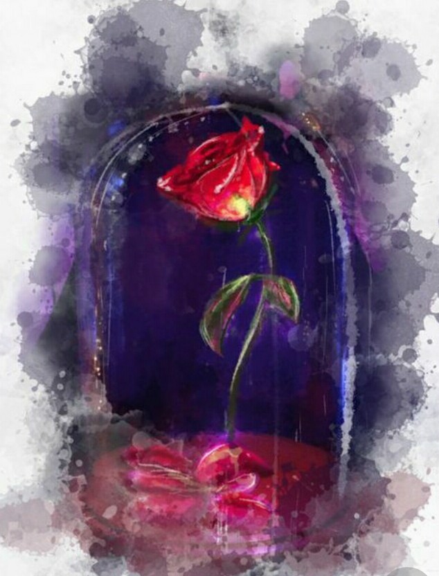 love ...♡♡♡♡