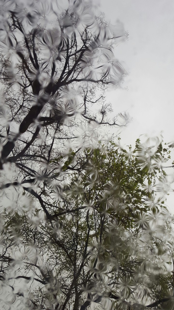 rain