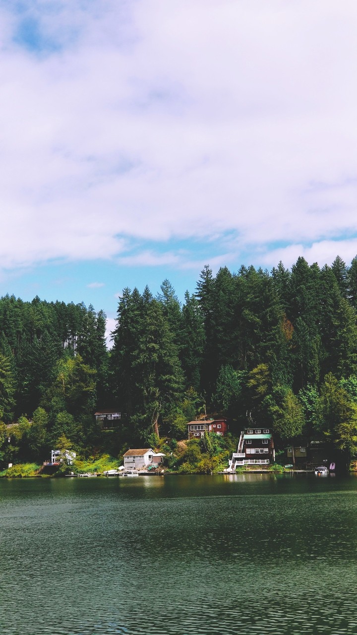#lakeview