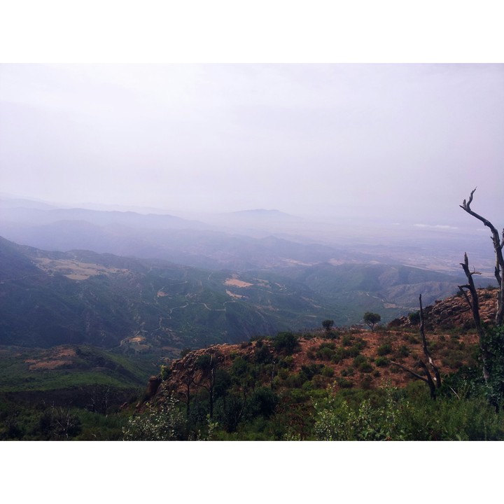 nature algeria