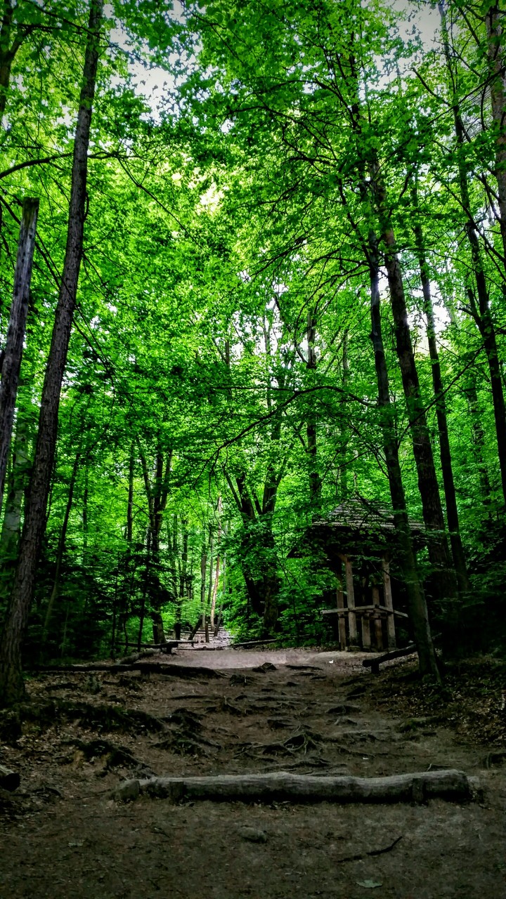 Góry Świętokrzyskie wiosną