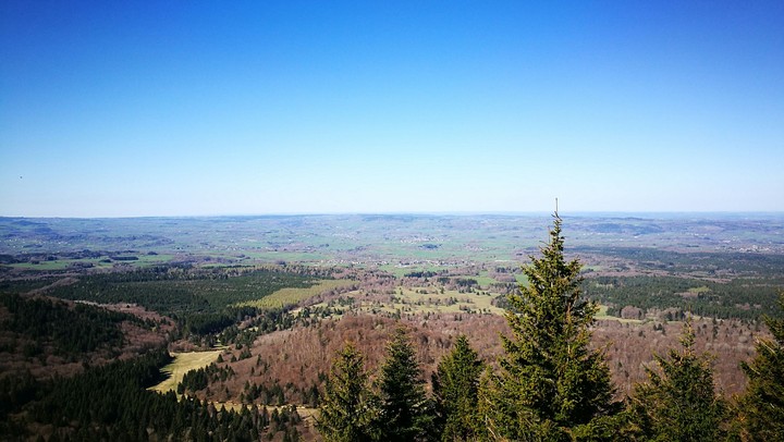 forêt