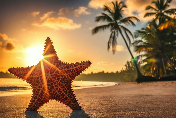 star