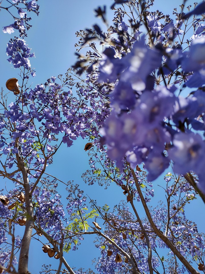 Spring