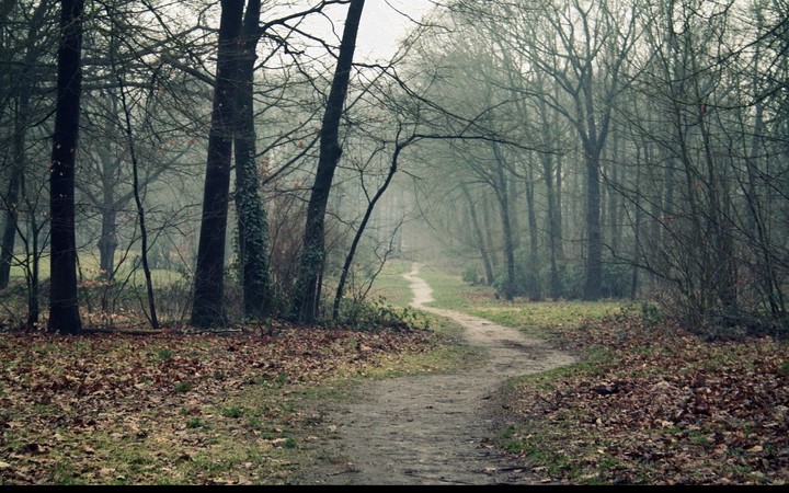 chemin