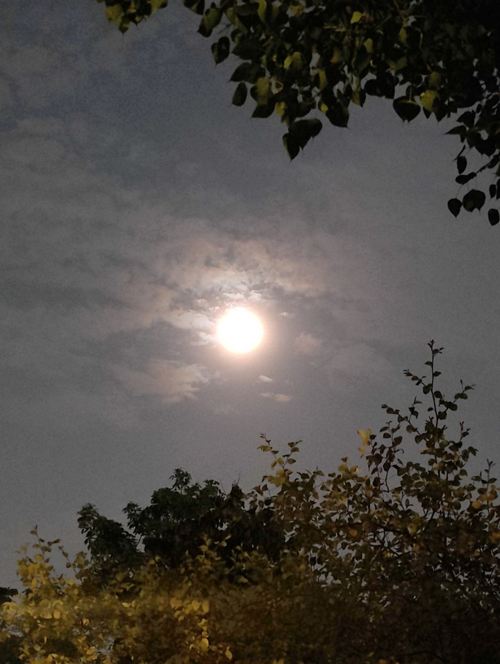 moon