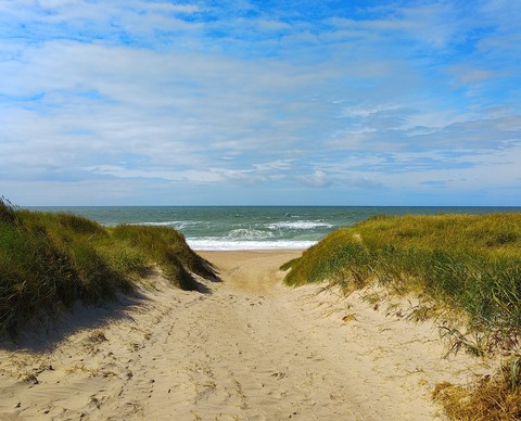 Meer
